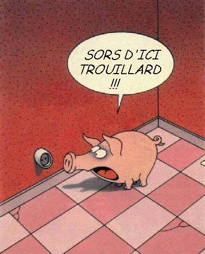 chavais pa kun cochon cetai ossi con lol